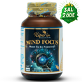 Resmi Galeri görüntüleyicisine yükleyin, Kiperin Mind Focus Aslan Yelesi Mantarı, Sitikolin, Rhodiola, L-Theanin (1440mg)