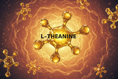 L-Theanine Nedir? Ne İşe Yarar?