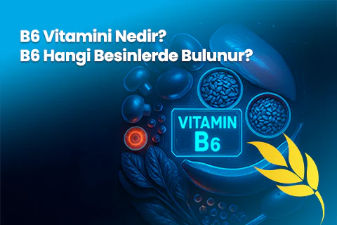 B6 Vitamini Nedir? B6 Hangi Besinlerde Bulunur?