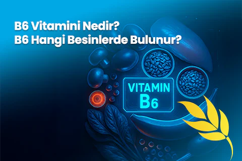 B6 Vitamini Nedir? B6 Hangi Besinlerde Bulunur?
