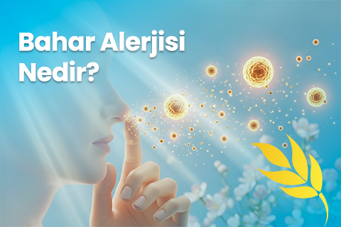 Bahar Alerjisi Nedir? Belirtileri Nelerdir?