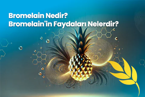 Bromelain Nedir? Bromelain'in Faydaları Nelerdir?
