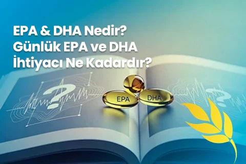 EPA & DHA Nedir? Günlük EPA ve DHA İhtiyacı Ne Kadardır?