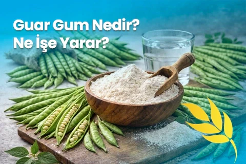 guar gum nedir 