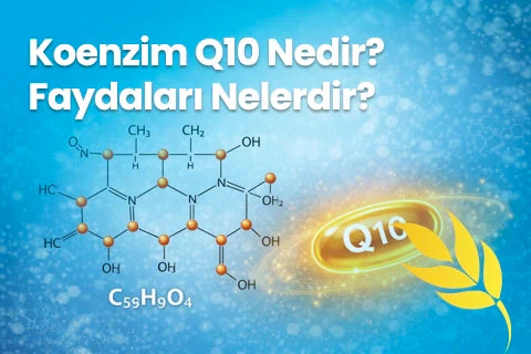 koenzim q10 faydaları nelerdir