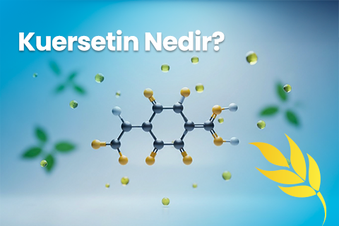 Kuersetin Nedir, Ne İşe Yarar? Alerji Semptomlarını Hafifletmeye Destek Olur mu?