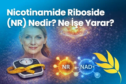 NR nedir faydaları