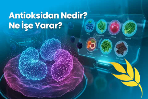 Antioksidan Nedir? Ne İşe Yarar?