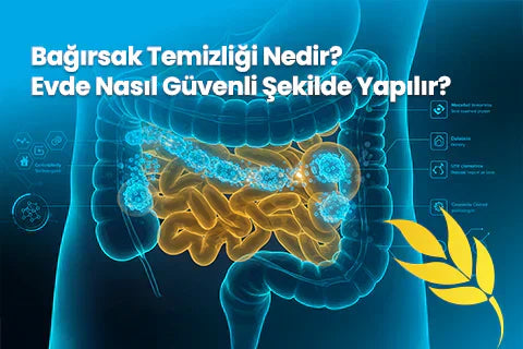 Bağırsak Temizliği Nedir? Evde Nasıl Güvenli Şekilde Yapılır?