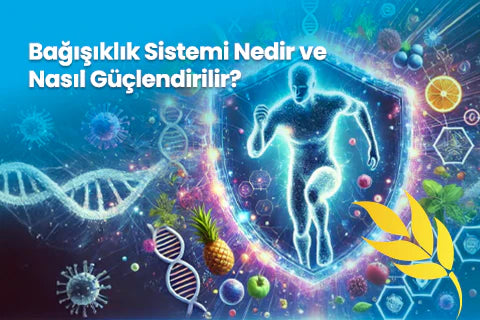 Bağışıklık Sistemi Nedir ve Nasıl Güçlendirilir?