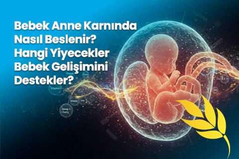 Bebek Anne Karnında Nasıl Beslenir? Hangi Yiyecekler Bebek Gelişimini Destekler?