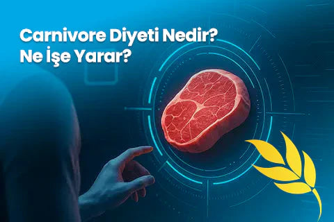 Carnivore Diyeti Nedir? Ne İşe Yarar?