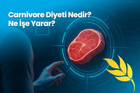 Carnivore Diyeti Nedir? Ne İşe Yarar?