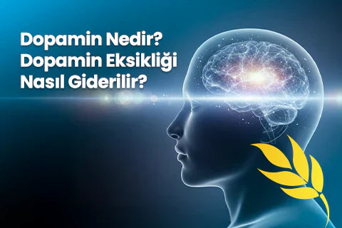 Dopamin Nedir? Dopamin Eksikliği Nasıl Giderilir?