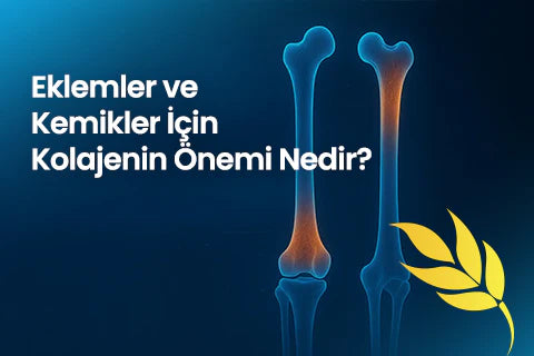 Eklemler ve Kemikler İçin Kolajenin Önemi Nedir?
