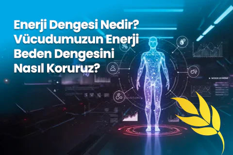 Enerji Dengesi Nedir? Vücudumuzun Enerji Beden Dengesini Nasıl Koruruz?