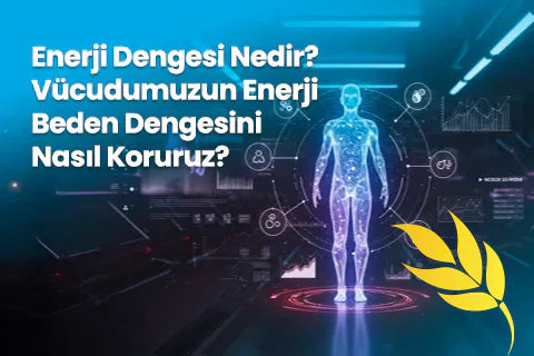 Enerji Dengesi Nedir? Vücudumuzun Enerji Beden Dengesini Nasıl Koruruz?