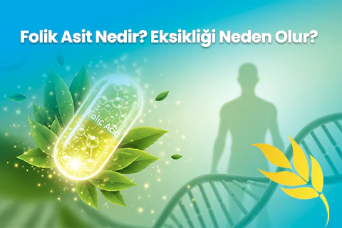 Folik Asit Nedir? Eksikliği Neden Olur?