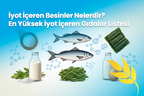 İyot İçeren Besinler Nelerdir? En Yüksek İyot İçeren Gıdalar Listesi