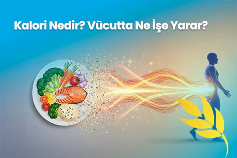 Kalori Nedir? Vücutta Ne İşe Yarar?