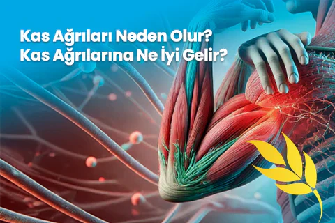 Kas Ağrıları Neden Olur? Kas Ağrılarına Ne İyi Gelir?