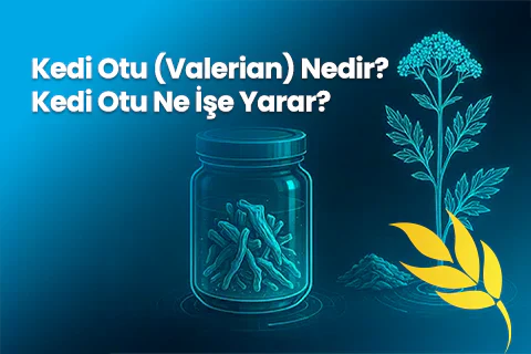 Kedi Otu (Valerian) Nedir? Kedi Otu Ne İşe Yarar?