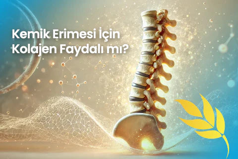 Kemik Erimesi İçin Kolajen Faydalı Mı?