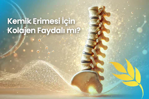 Kemik Erimesi İçin Kolajen Faydalı Mı?