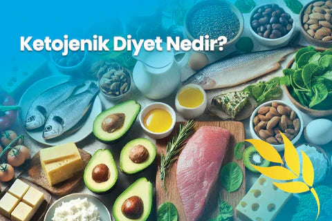Ketojenik Diyet Nedir?