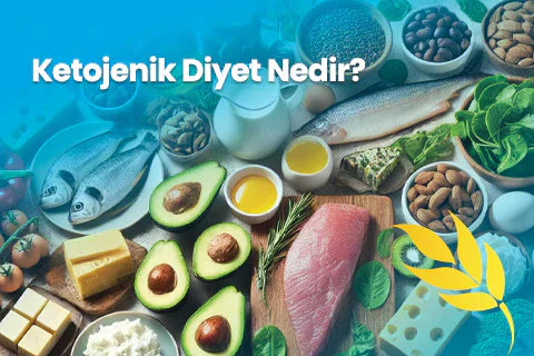 Ketojenik Diyet Nedir?