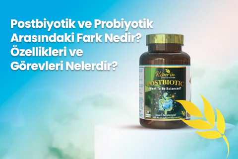 Postbiyotik Nedir? Sindirim Sistemine Faydaları Nelerdir?