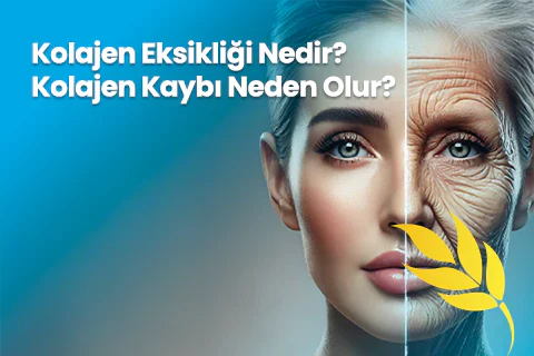 Kolajen Eksikliği Nedir? Kolajen Kaybı Neden Olur?
