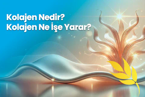 Kolajen Nedir? Kolajen Ne işe Yarar?