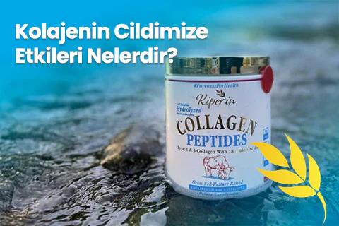 Kolajenin Cildimize Etkileri Nelerdir?