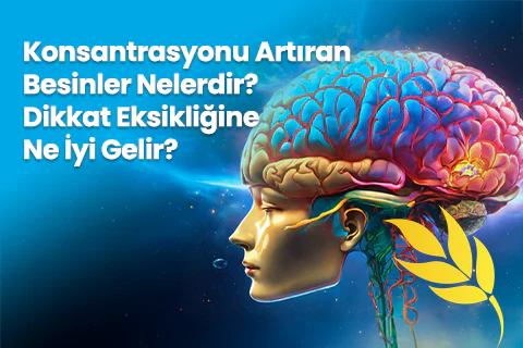 Konsantrasyonu Artıran Besinler Nelerdir? Dikkat Eksikliğine Ne İyi Gelir?