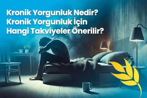Kronik Yorgunluk Nedir? Kronik Yorgunluk İçin Hangi Takviyeler Önerilir?