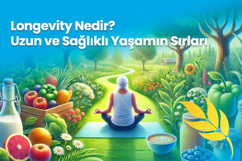 Longevity Nedir? Uzun ve Sağlıklı Yaşamın Sırları