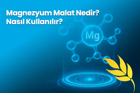 Magnezyum Malat Nedir? Nasıl Kullanılır?