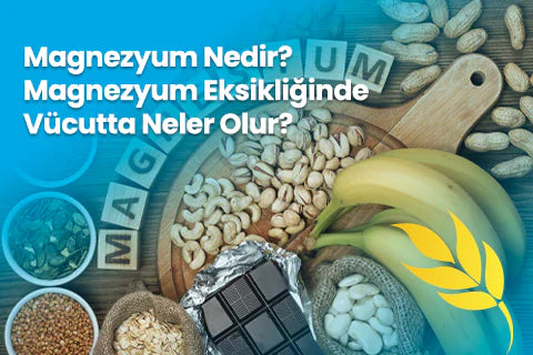 Magnezyum Nedir? Magnezyum Eksikliğinde Vücutta Neler Olur?