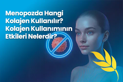 Menopozda Hangi Kolajen Kullanılır? Kolajen Kullanımının Etkileri Nelerdir?