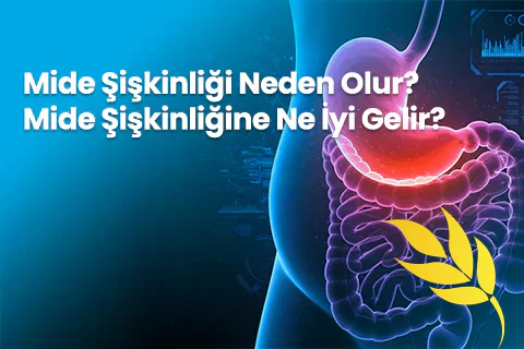 Mide Şişkinliği Neden Olur? Mide Şişkinliğine Ne İyi Gelir?