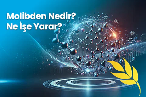 Molibden Nedir ve Ne İşe Yarar?