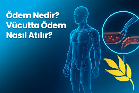 Ödem Nedir? Vücutta Ödem Nasıl Atılır?