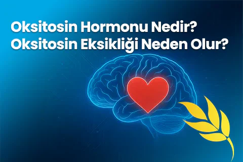 Oksitosin Hormonu Nedir? Oksitosin Eksikliği Neden Olur?