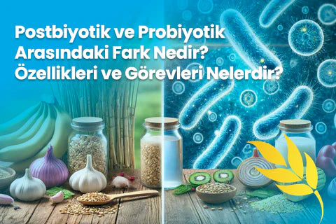 Postbiyotik ve Probiyotik Arasındaki Fark Nedir? Özellikleri ve Görevleri Nelerdir?