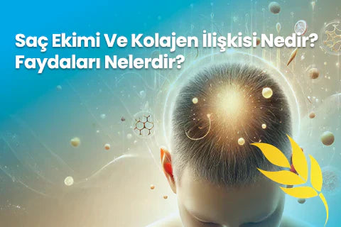 Saç Ekimi Ve Kolajen İlişkisi Nedir? Faydaları Nelerdir?