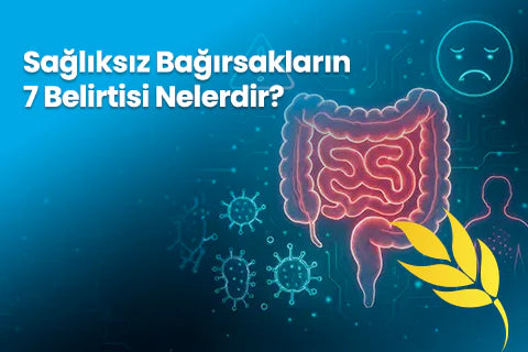 Sağlıksız Bağırsakların 7 Belirtisi Nelerdir?