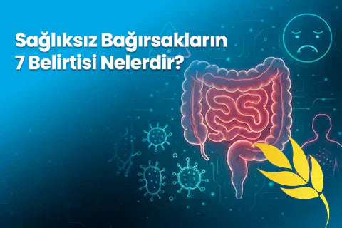 Sağlıksız Bağırsakların 7 Belirtisi Nelerdir?