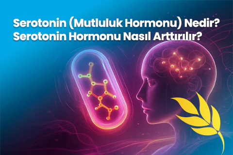 Serotonin (Mutluluk Hormonu) Nedir? Serotonin Hormonu Nasıl Arttırılır?