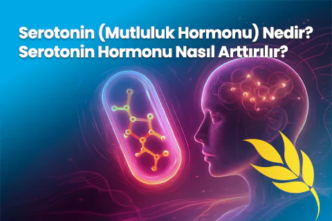 Serotonin (Mutluluk Hormonu) Nedir? Serotonin Hormonu Nasıl Arttırılır?